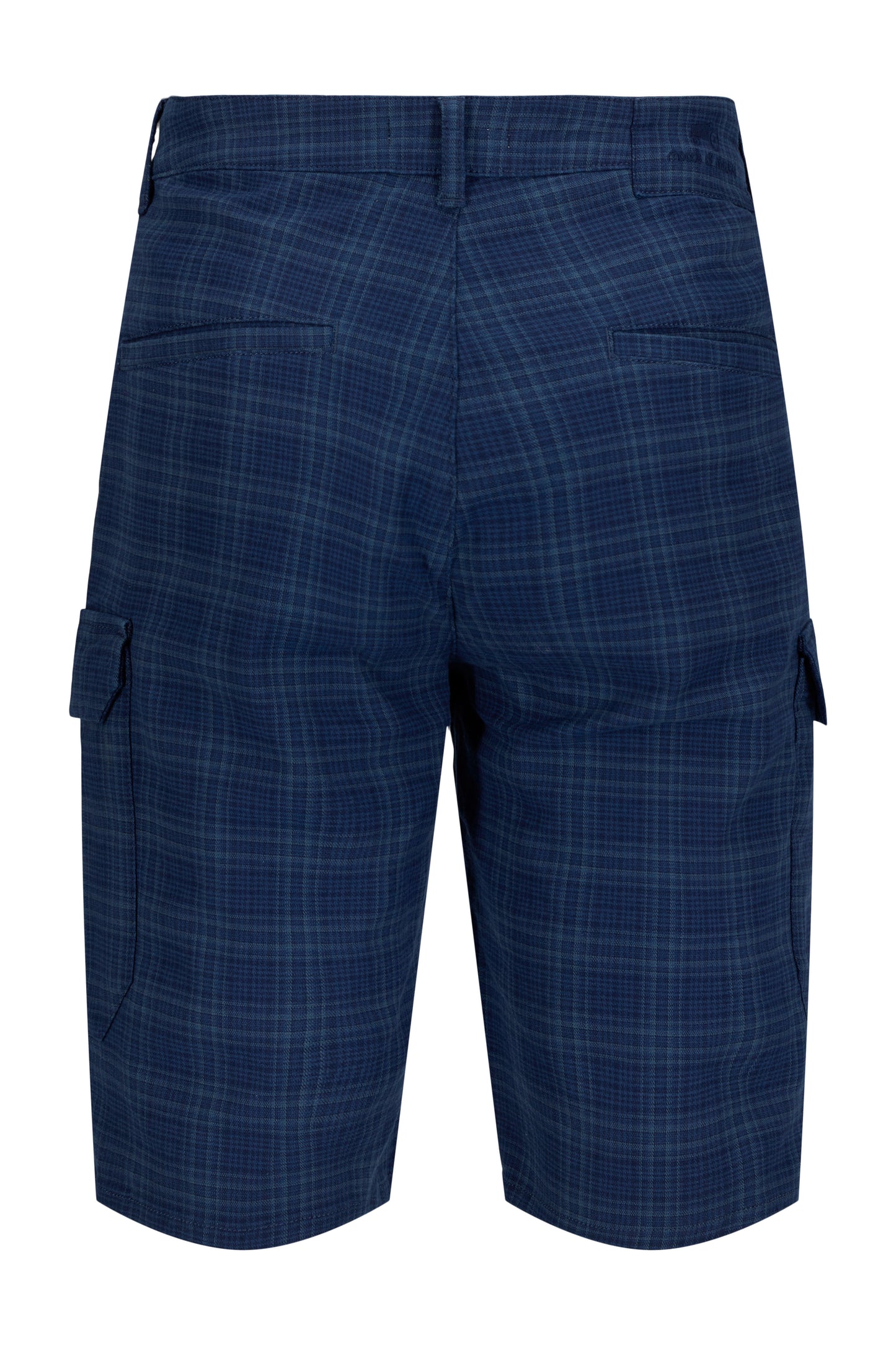 Bjarte Check