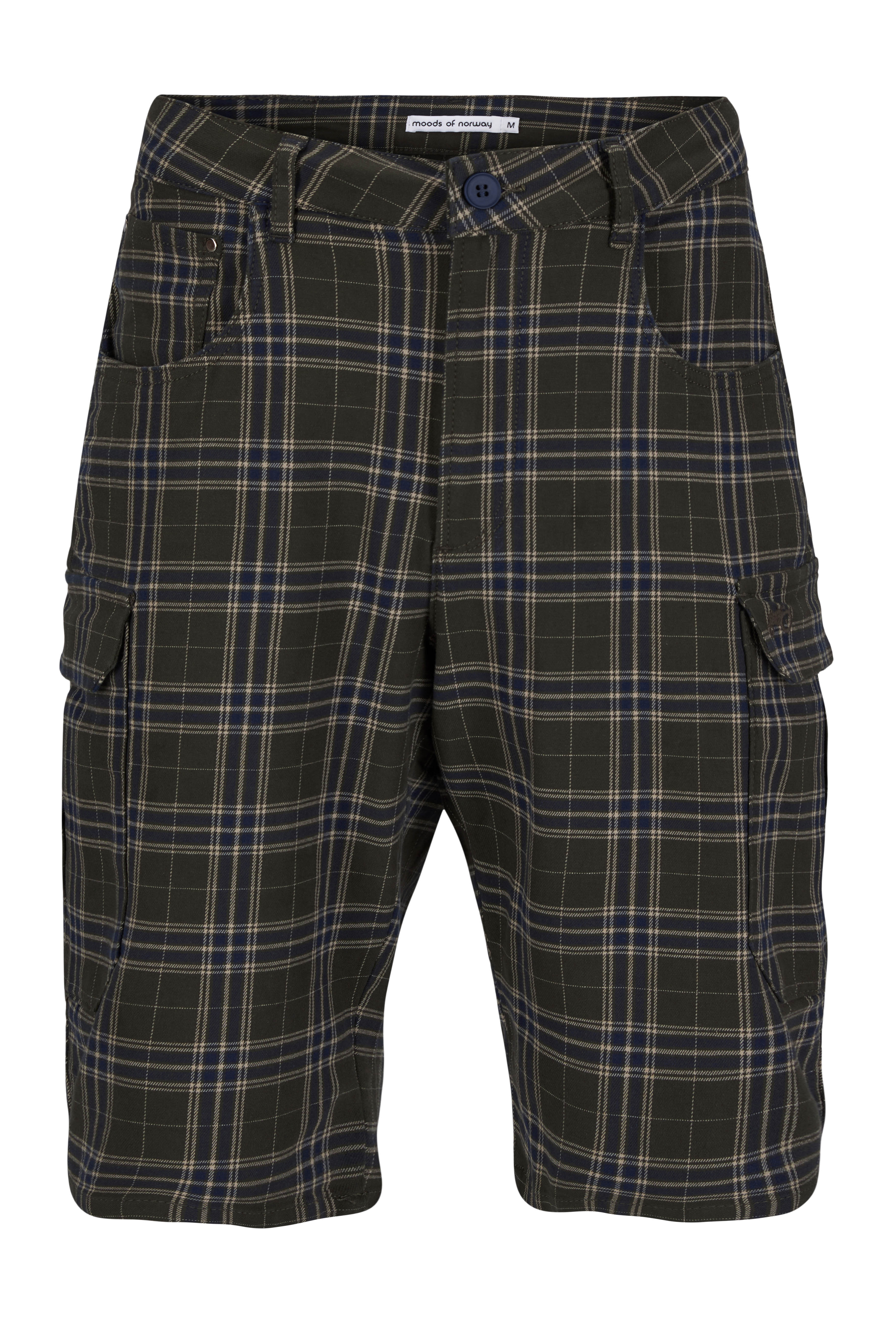 Bjarte Check