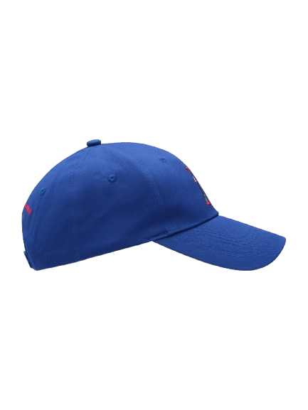 Skjeggemannen Spade Caps