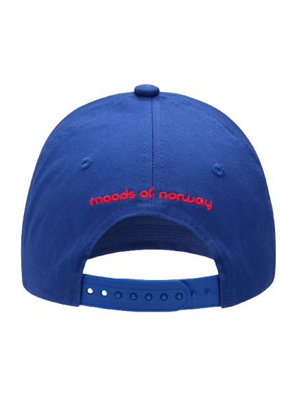 Skjeggemannen Spade Caps