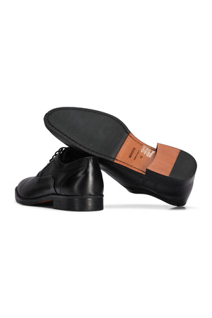 Tommy Shoe