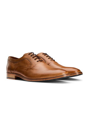 Tommy Shoe