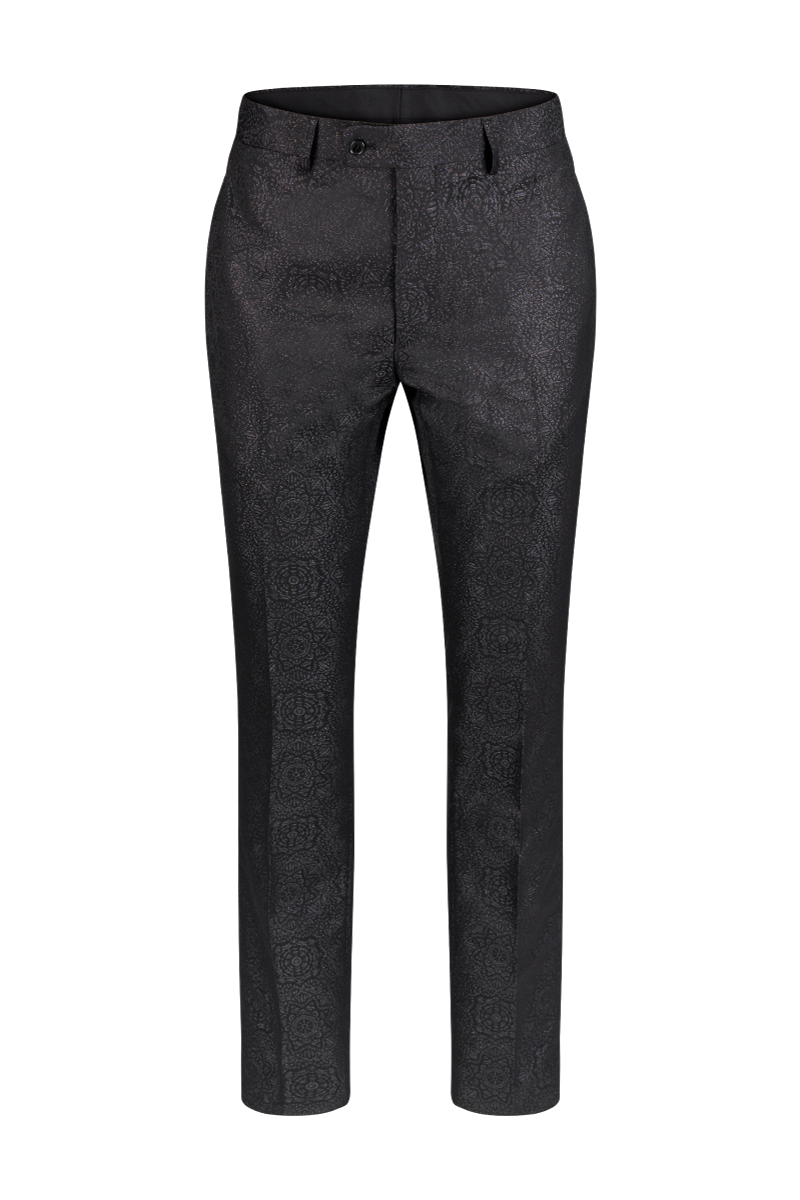 Shiny Pant