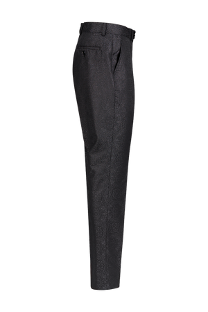 Shiny Pant