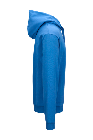 Theodor Hood Cowl