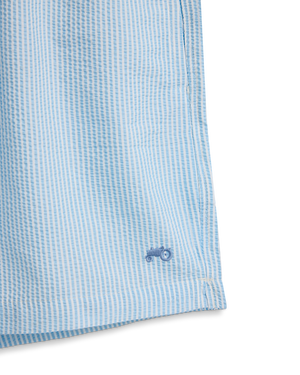 Seersucker Swim Shorts