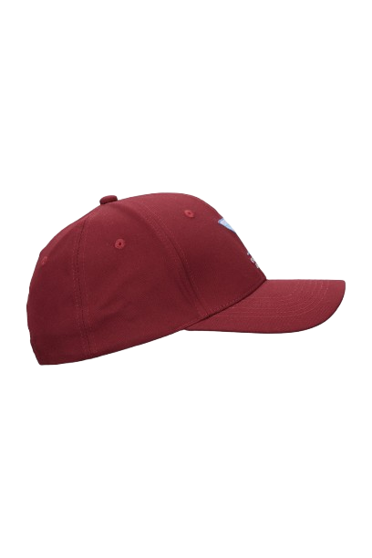 Traktor Caps