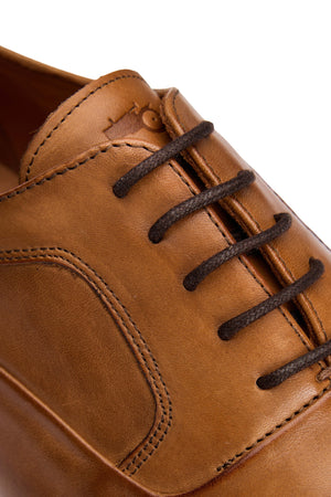 Tommy Shoe