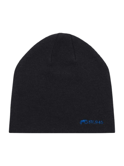 Merino Beanie