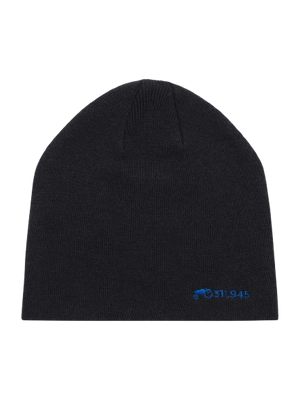 Merino Beanie